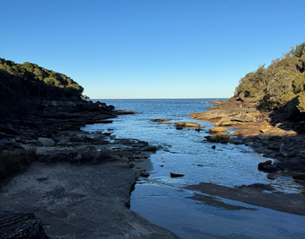 My Sydney Experience 