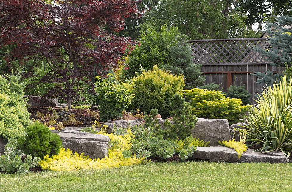 Platt-Hill-Nursery-backyard-landscape-full-of-plants-1024x675.png