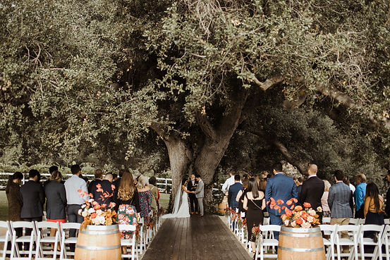 Ceremony Closer Up with Oak Tree and Gue
