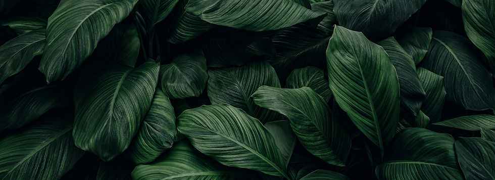 AdobeStock_354944901.jpeg