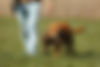 179A8610.JPG