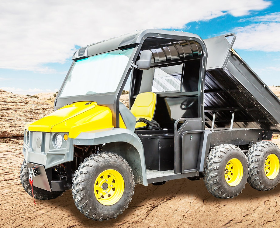 THE BEAST 4X4 pcbuggies