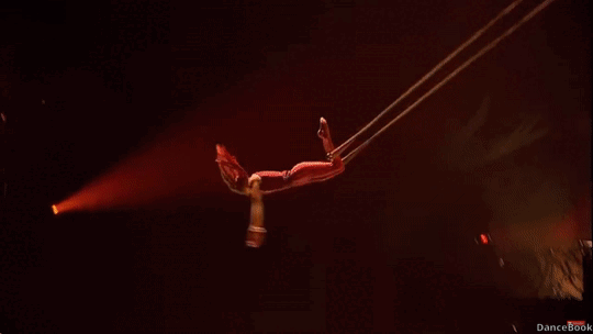 c8ea74_aae049ab57e348738a5a41db2bb1a9ab~mv2.gif