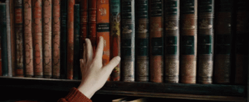 c8ea74_7e5537e52d97402a8473fcd41c9f4ad9~mv2.gif