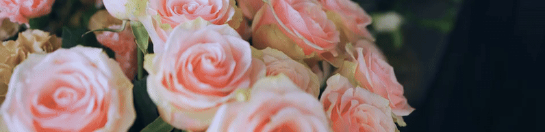 ezgif-58c2d05a248405.gif