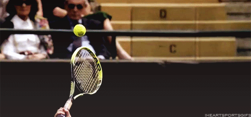 tumblr_mp484bexmw1s24qdco1_500.gif