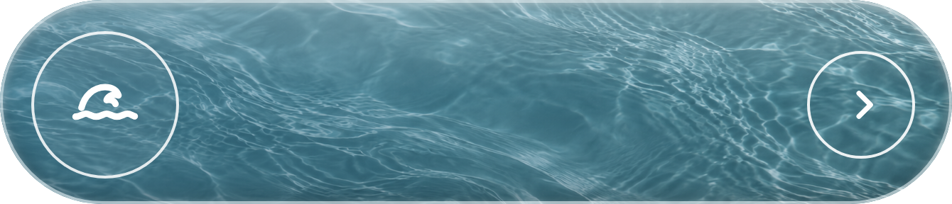 boton-natacion-adultos.png