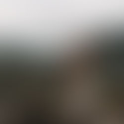 Komodo tour in Indonesie