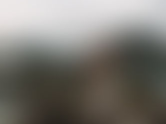 Komodo tour in Indonesie