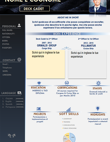 template vip_001.png