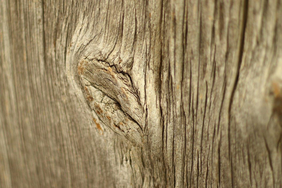 Thumbnail: Toronto Barnwood