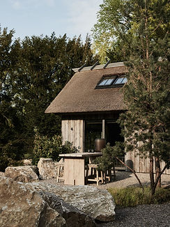 Plancker Bertram Beerbaum 3.jpg