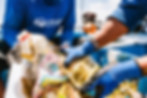 4Ocean volunteers collecting ocean plastic waste