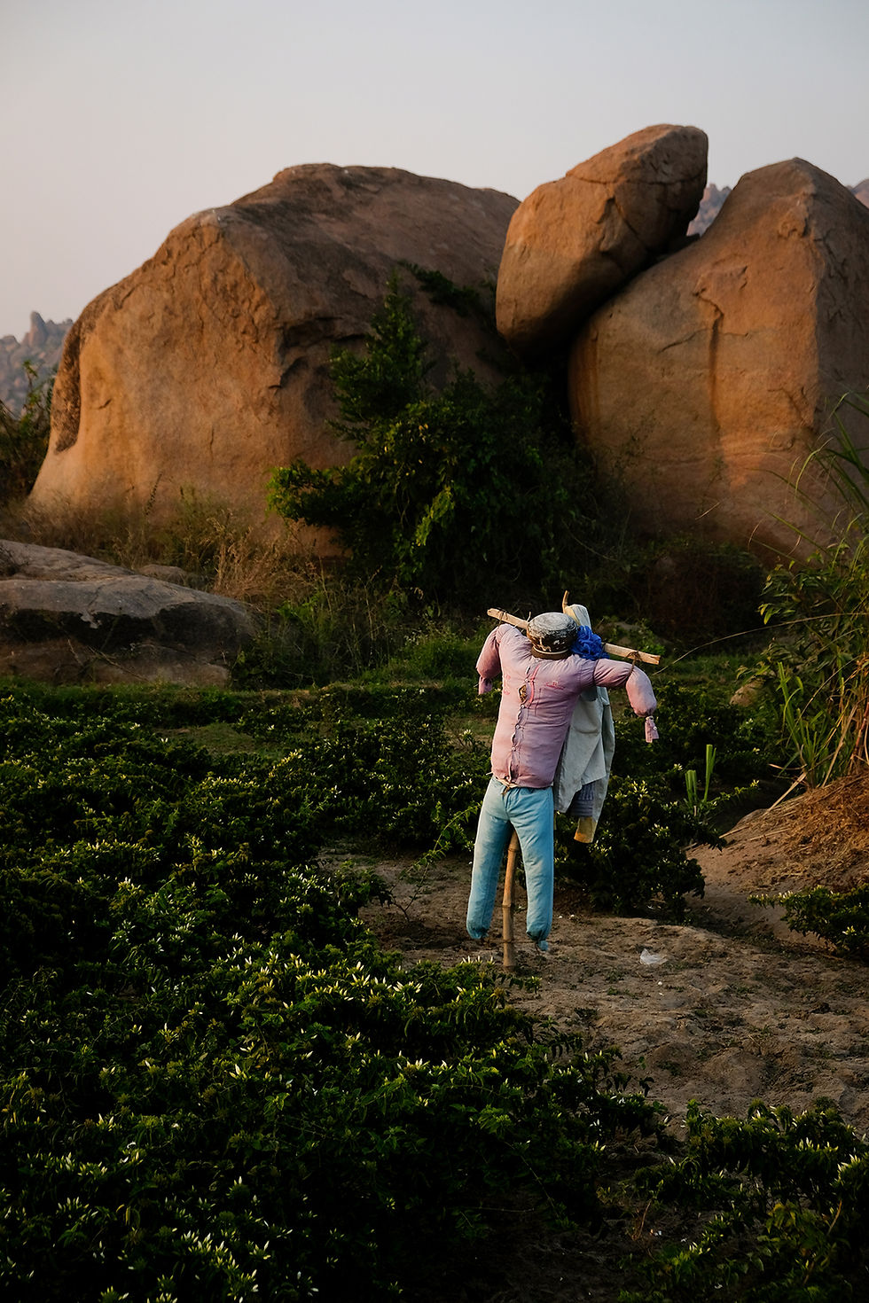The Scarecrow, Hampi