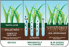 How to Fertilize After Aeration: Expert Tips for Lush Lawns