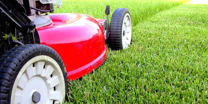 LAWN CARE.jpeg