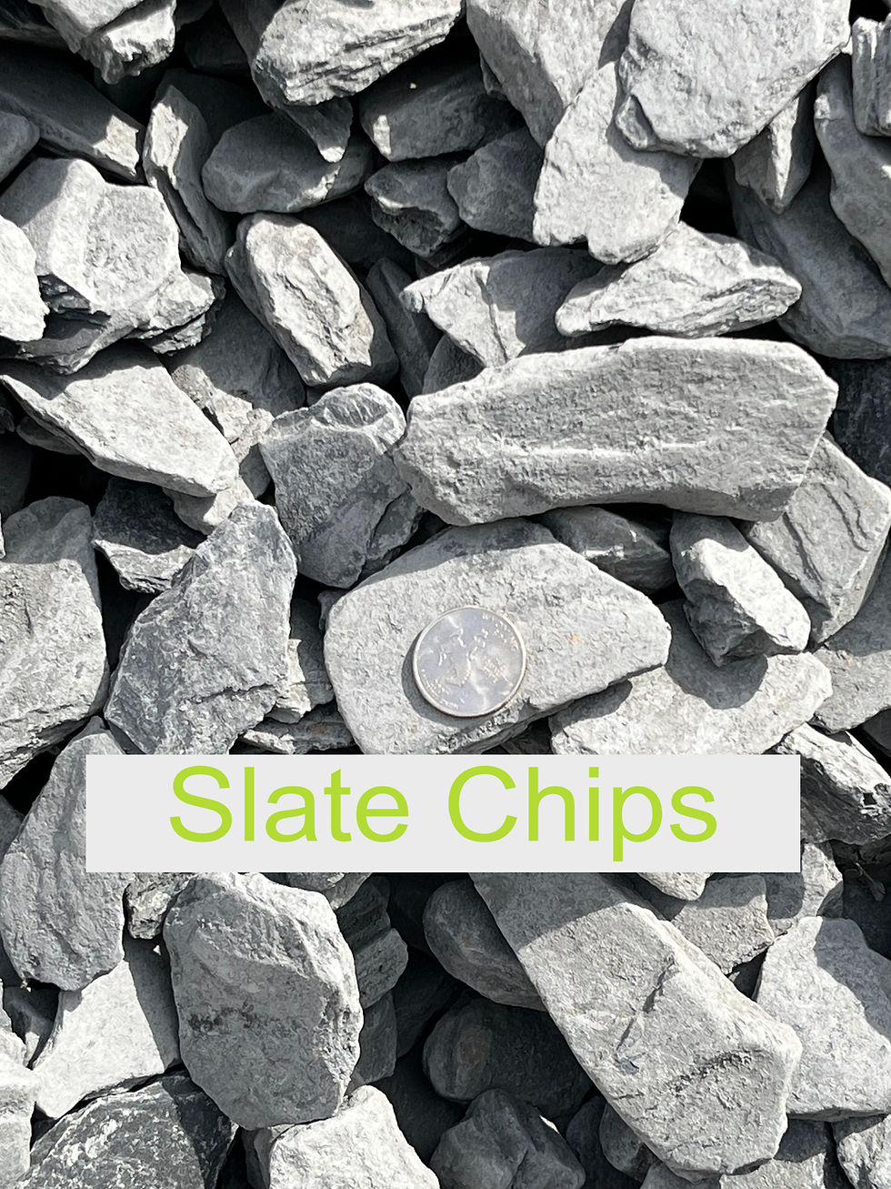 Slate Chips