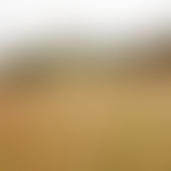 New Estate Training Days