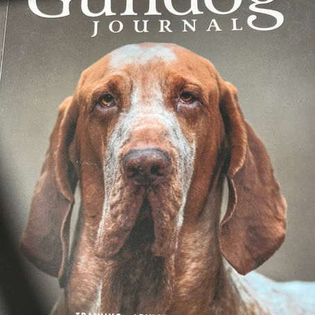 Gundog Journal October 22