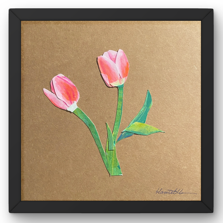 Tulip