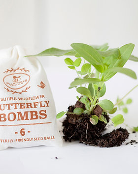 grow light bulbs for indoor plants Buy Full Spectrum LED Grow Light Bulbs
