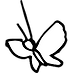 transparent butterfly_edited.png