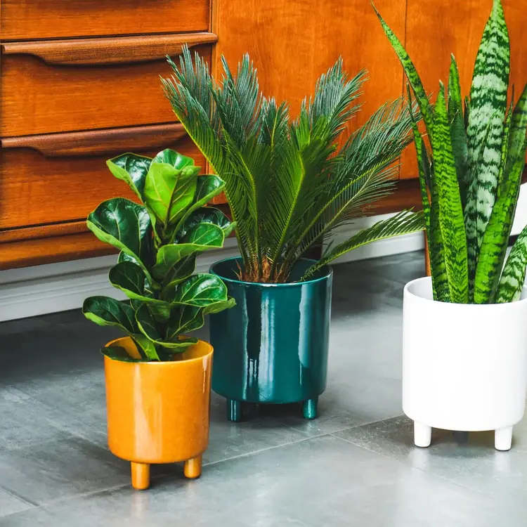 Thumbnail: Pisa Planter