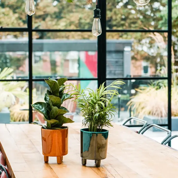 Thumbnail: Pisa Planter