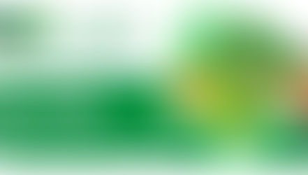 O que acontece se você perder o prazo do CAR?