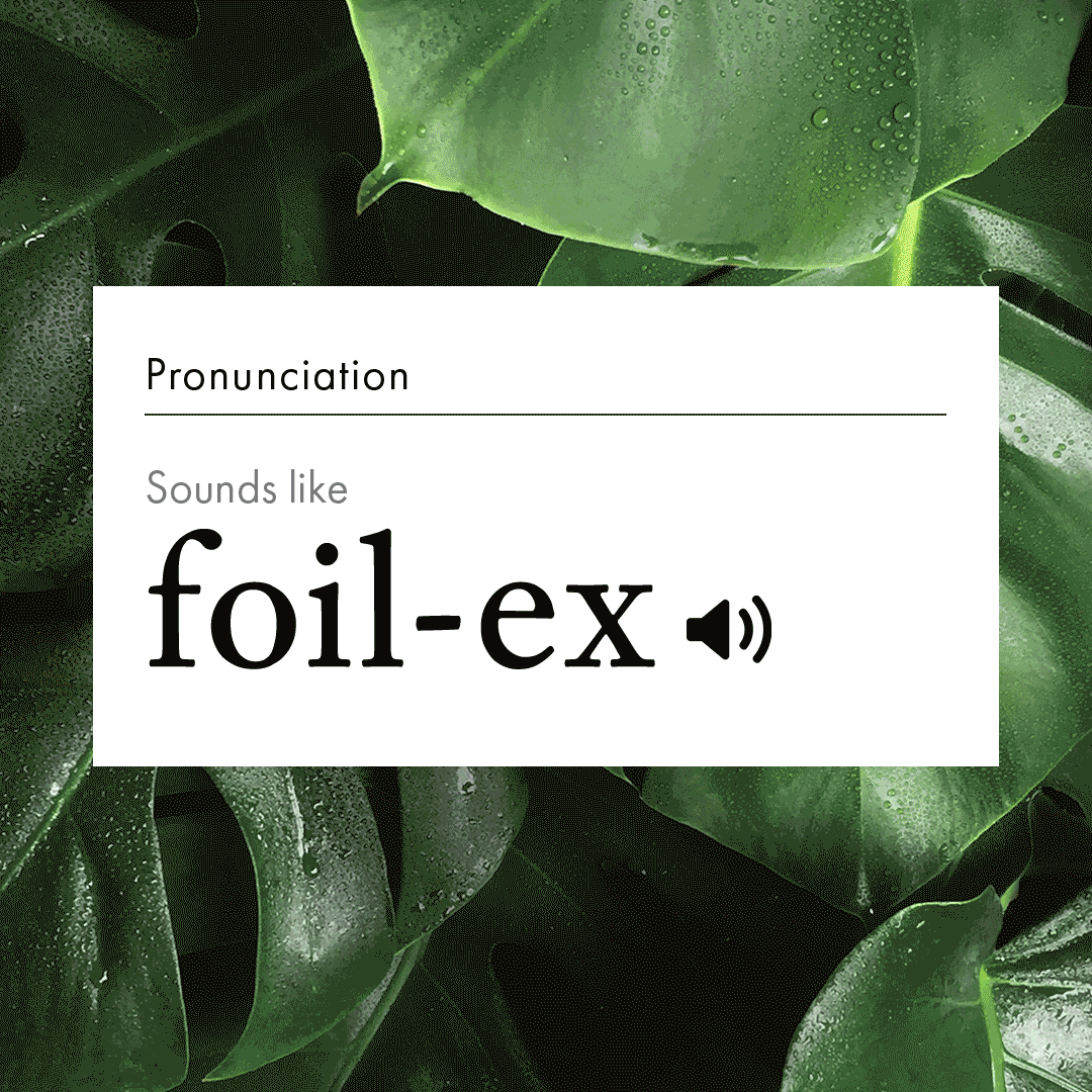 Phoilex - Skincare brand Amazon & Social posts created and illustrated by me.