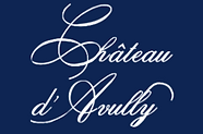 logo chateau d'avully.png