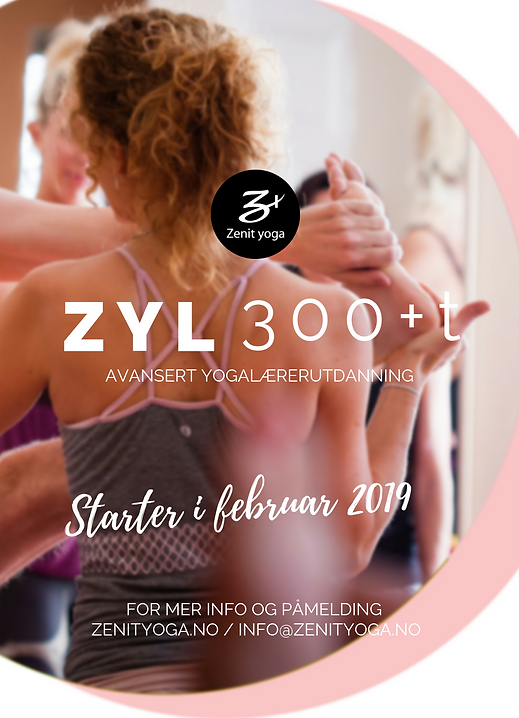 zyl300A3.png