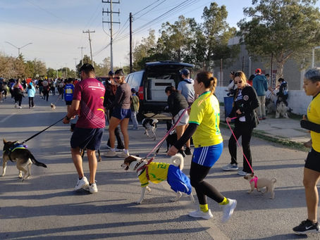 Ciudad Juárez, Deporte