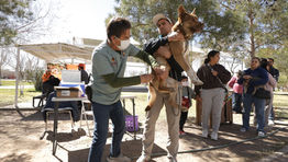 Ciudad Juárez, Mascotas