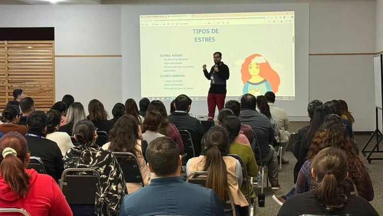 Salud mental, Trabajo, Ciudad Juárez