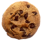 biscuit