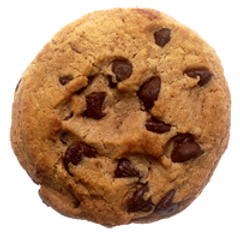 ZAWODOWCY W BIBLIOTECE