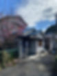 A1BFE390-6DDD-4E63-A433-98D0BDD46A67.jpeg