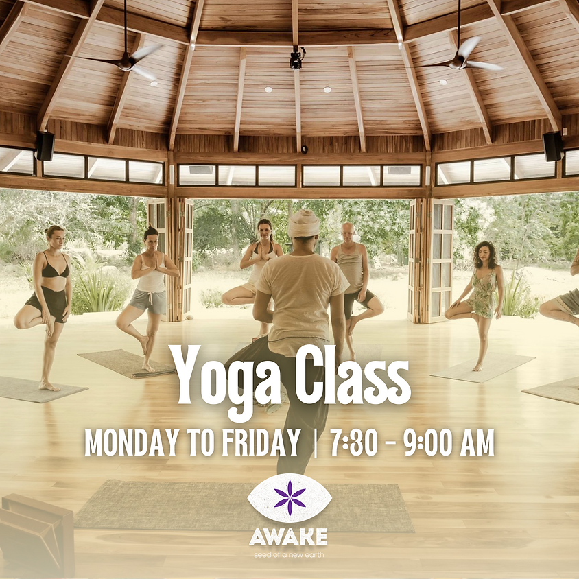 Yoga Class