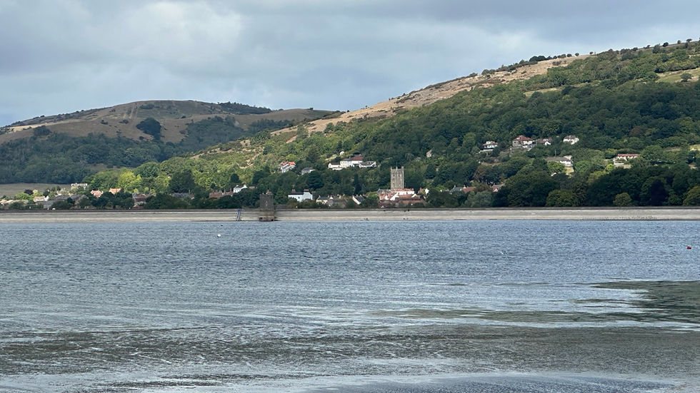 View out over the Reservoir towards Axbridge