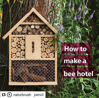 Lo importante que son las Abejas