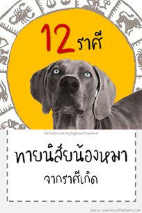 ทายนิสัยสุนัขจากราศีเกิด ทายนิสัยน้องหมา