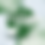Thumbnail: Thé vert YUNNAN GREEN