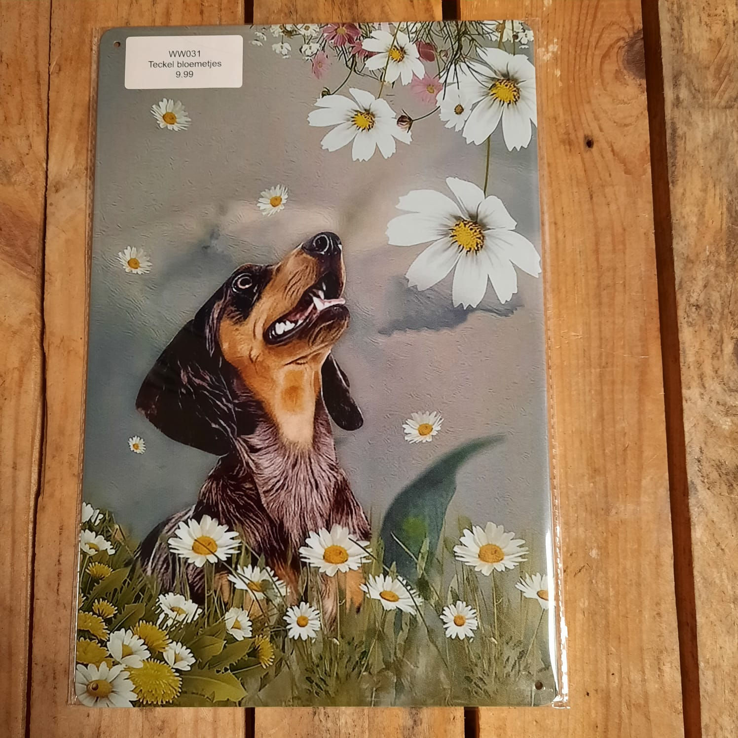 Teckel met bloemetjes  WW031   Dachshund Teckel