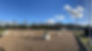 IMG_9216.jpeg