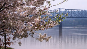 The River Life