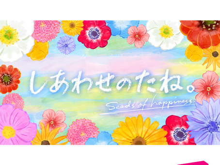 テレビ朝日「しあわせのたね。」にて特集されました
