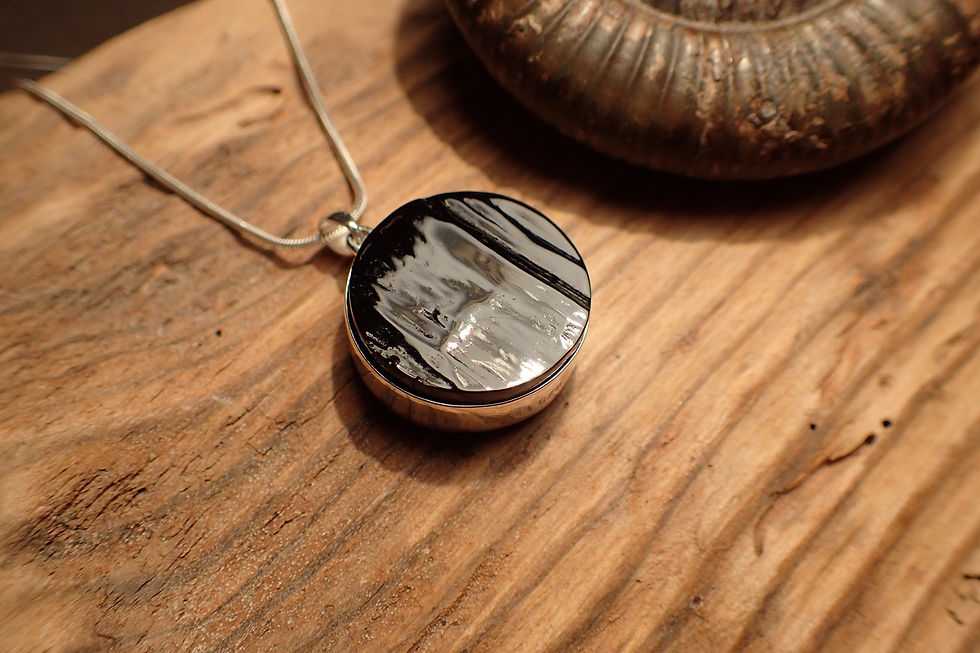 Thumbnail: Ammonite and Jet Pendant