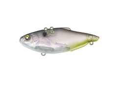 Ghost Shad