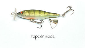 Baby_Abino_70F_13_Tuned_Popper.JPG